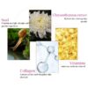 Collagen Snail Soothing Moisturizing Gel - 300ml - Image 5