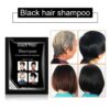 Disaar - Black Hair Shampoo 25 ml x 10 - Image 4